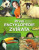 První encyklopedie - Zvířata (poškozená) - John Farndon