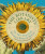 The Botanists'' Library - Carolyn Fry,Emma Wayland