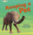 Bug Club Phonics - Phase 5 Unit 13: Keeping A Pet - Willis Jeanne