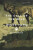 The Call of the Wild and White Fang - Jack London