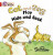 BIG CAT - HIDE AND SEEK - Rayner Shoo