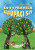 Co vyprávěla houpací síť - Jiří Šandera,Petr Lorenc
