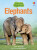 Elephants - James Maclaine