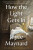 How the Light Gets In - Joyce Maynard