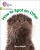 BIG CAT LW L&S _SPOT OTTER - Becca Heddle