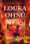 Louka ohňů - Historické drama z období Sámovy říše - Jiří Pánek