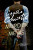 MURDER IN MEWS_POIROT PB - Agatha Christie