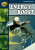 Rapid Reading: Energy Boosts (Stage 6, Level 6B) - Haydn Middleton