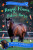Royal Flame the Police Horse - Pippa Funnell