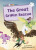 Great Griffin Rescue - Amanda Brandon