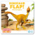 World of Dinosaur Roar!: Dinosaur Flap! The Oviraptor: Book 6 - Peter Curtis