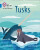 BIG CAT PHONICS - TUSKS - Jane Clarkeová