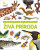 Živá príroda - David Burnie