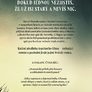 04127_cry macho_zadni