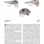 Atlas prehistorických živočichů 4