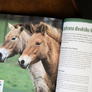 8 Velká kniha o zoo