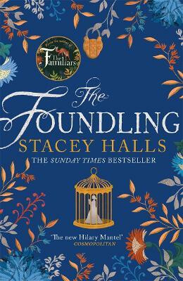 The Foundling - Stacey Hallsová