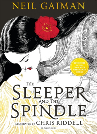 Sleeper and the Spindle - Neil Gaiman