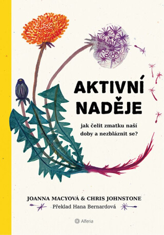 Aktivní naděje - Chris Johnstone,Joanna Macyová