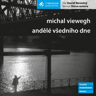Andělé všedního dne - Michal Viewegh