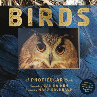 Birds - Dan Kainen,Mara Grunbaum