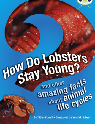 Bug Club Independent Non Fiction Year 3 Brown A How Do Lobsters Stay Young? - Jillian Powell
