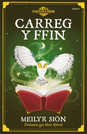 Chwedlau''r Ddraig: Carreg y Ffin - Sarah Wade