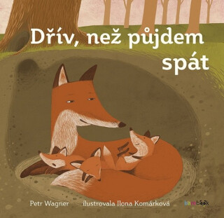 Dřív než půjdem spát - Ilona Komárková,Petr Wagner