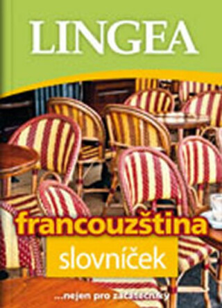 Francouzština - kolektiv autorů