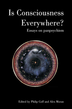 Is Consciousness Everywhere? - 