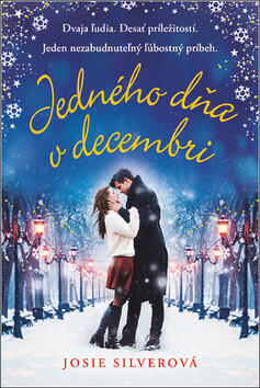 Jedného dňa v decembri - Josie Silverová