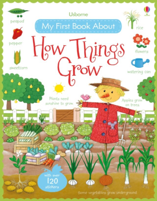 My First Book About How Things Grow - Felicity Brooks