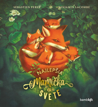 Najlepšia mamička na svete - Sébastien Perez,Benjamin Lacombe