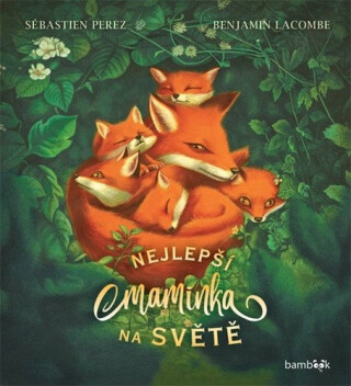 Nejlepší maminka na světě - Sébastien Perez,Benjamin Lacombe