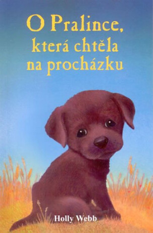 O Pralince, která chtěla na procházku - Holly Webbová
