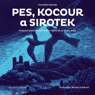 Pes, kocour a sirotek - Putování podivuhodné trojice skoro až na konec světa - Renáta Fučíková,František Kalenda