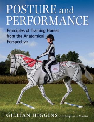 Posture and Performance - Gillian Higginsová,Stephanie Martin
