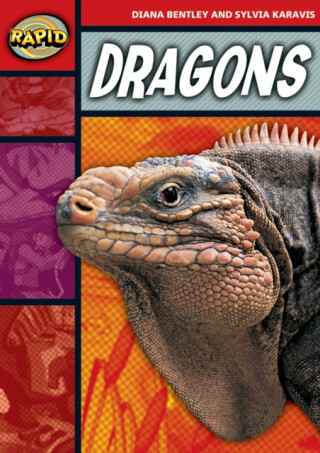 Rapid Reading: Dragons (Stage 2, Level 2B) - Diana Bentley,Sylvia Karavis