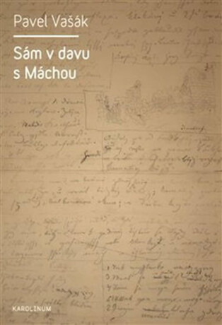 Sám v davu s Máchou - Pavel Vašák