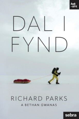 Stori Sydyn: Dal i Fynd - Parks Richard,Bethan Gwanas