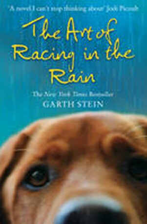 ART OF RACING IN RAIN PB - Garth Stein