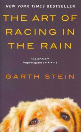 The Art of Racing in the Rain - Garth Stein