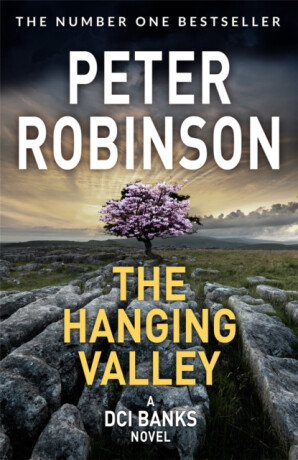 Hanging Valley - Peter Robinson