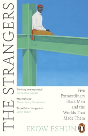 Strangers - Ekow Eshun